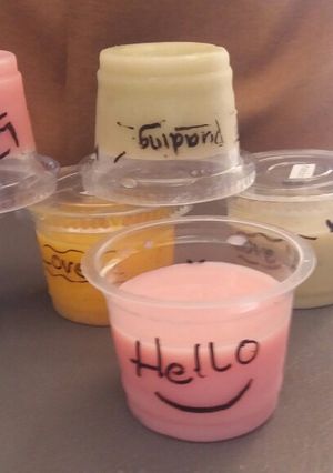 Foto resep Silky pudding cute