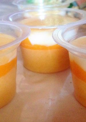 Foto resep Puding Silky Mangga