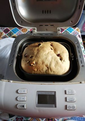 Una foto de Pan Dulce panetera
