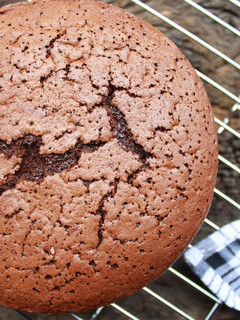 Foto resep Sponge Cake Coklat No Sp (kempus" ala khey)