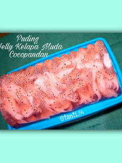 Foto resep Puding Jelly Kelapa Muda Cocopandan