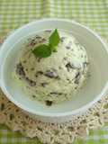 Chocolate Mint Ice Cream