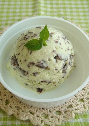 A picture of Chocolate Mint Ice Cream.