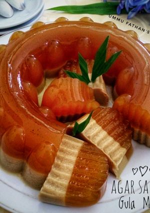 Foto resep Agar Santan Gula Merah Praktis