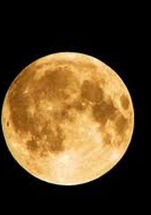 A picture of Celebrating Kojaagari Poornima with Masala Doodh.