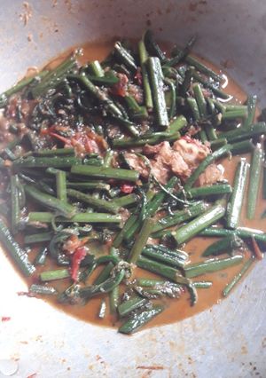 Foto resep Tumis pakis santan pedas sedaerhana