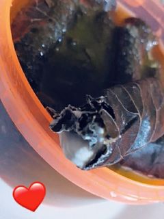 صورة لوصفة ورق العنب بلبنه 🤷🏻‍♀️