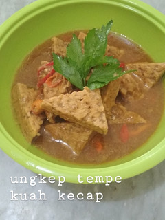 Foto resep Ungkep Tempe Kuah Kecap