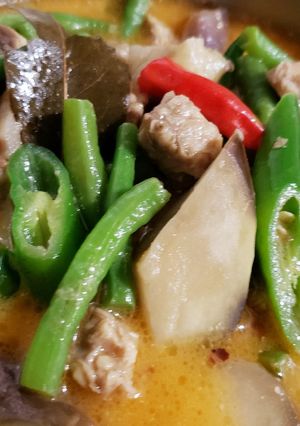 Foto resep Sayur lodeh tempe busuk enak dan sederhana
