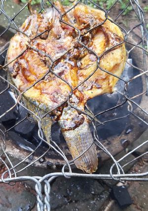 Foto resep Ikan nila bakar pengolahan tradisional
