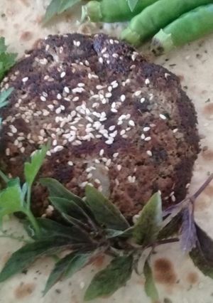عکسی از دستور کباب تابه ای رژیمی