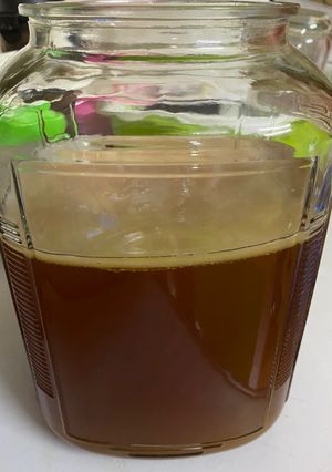 Hình của món Trà Kombucha.