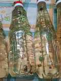 Vinagre de sidra con hierbas