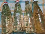 Vinagre de sidra con hierbas