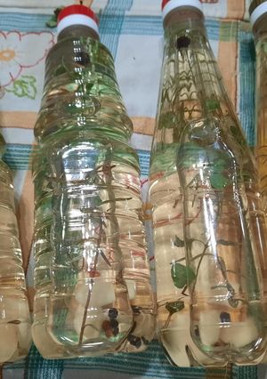 Una foto de Vinagre de sidra con hierbas