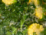 Sayur bening bayam jagung