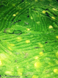 A picture of Pumpkin leaves mukimo.