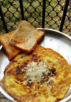 A picture of Cheese masala omelette.