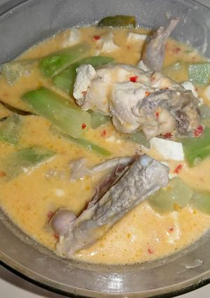 Foto resep Sayur Lodeh simpel ekonomis