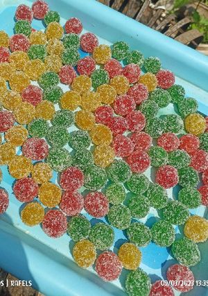 Foto resep Manisan pepaya kering