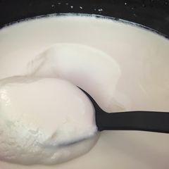 A picture of Crockpot Greek Yogurt.
