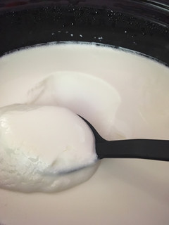 A picture of Crockpot Greek Yogurt.