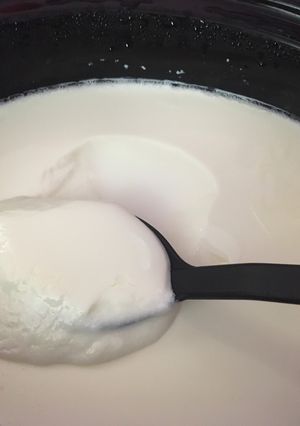 A picture of Crockpot Greek Yogurt.