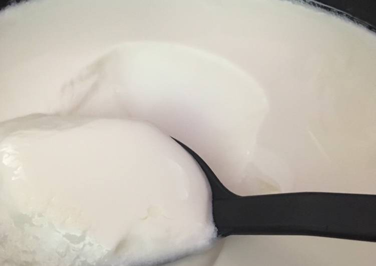 Step-by-Step Guide to Prepare Any-night-of-the-week Crockpot Greek Yogurt