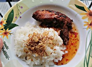 Gambar Pulut Ayam