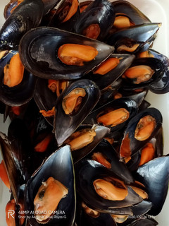 Una foto de Mejillones con tomate 🍅🍅