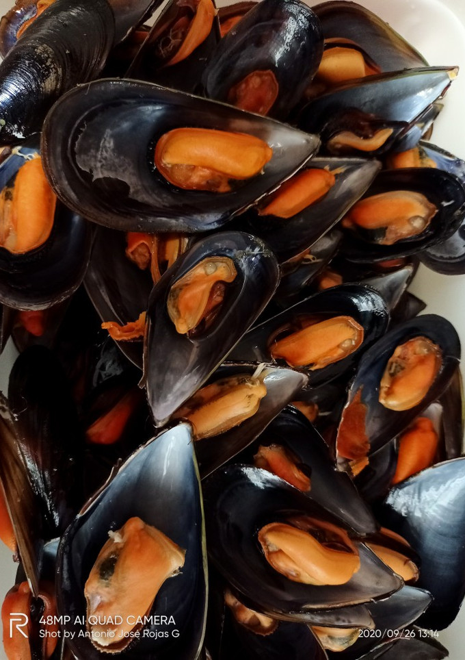 Una foto de Mejillones con tomate 🍅🍅