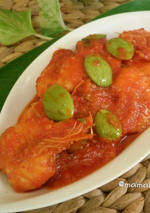 Foto resep Udang petai pedas