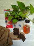Cheese Honey Choco Oat Bar