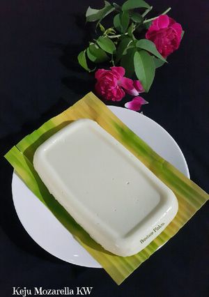 Foto resep #210 Keju mozarella kw