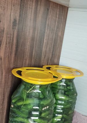 عکسی از دستور خیارشور با طعم عالی