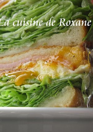 A picture of Lettuce-Packed Sandwich.