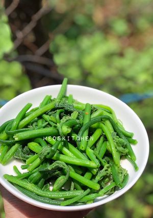 Hình của món Đọt bí xào tỏi (chay) 🧄.