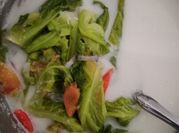 Gambar sayur kubis