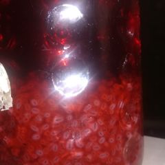 A picture of Chia seed and gond katira Jame Shiri.