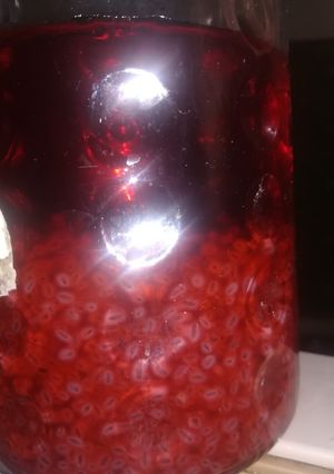 A picture of Chia seed and gond katira Jame Shiri.