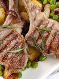 Grilled Lamb Chops