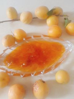صورة لوصفة مربى المشمش