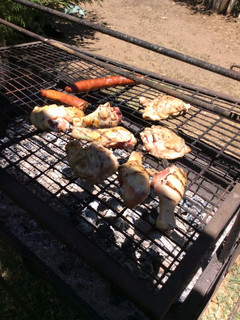 Una foto de Pollo a la parrilla 1