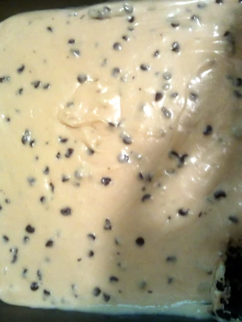 Easy Steps Prepare|Recipe} chocolate chip peanut butter cheesecake bars the So Delicious , Perfect