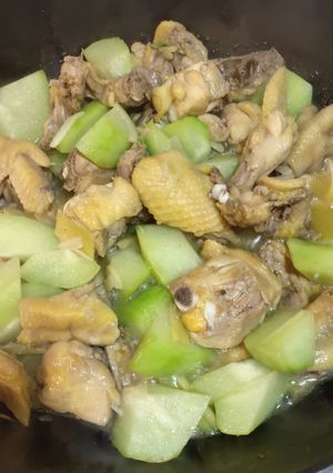 A picture of Stew Sayote con Chicken.