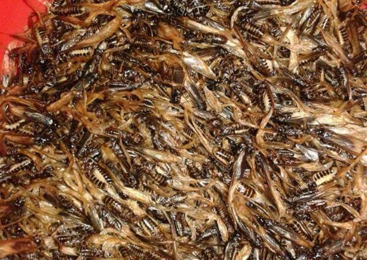 Recipe of Delicious Tasty termites