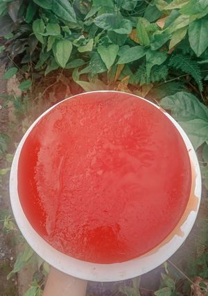 Foto resep Summer puding