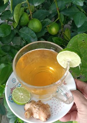 A picture of Gondhoraj Lemon ginger honey Tea.