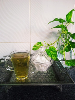 عکسی از دستور دمنوش نعنا