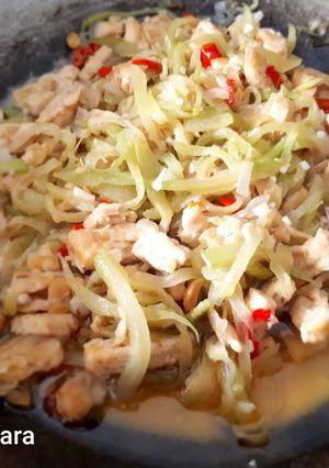 Foto resep Oseng Labu Siam/Waluh dengan Tempe